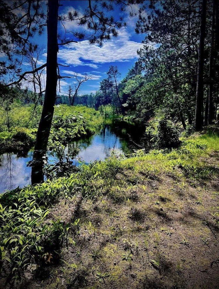 Riverview edge.jpg