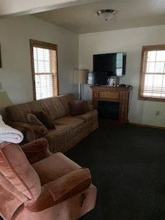 Cabin 1 living room.jpg