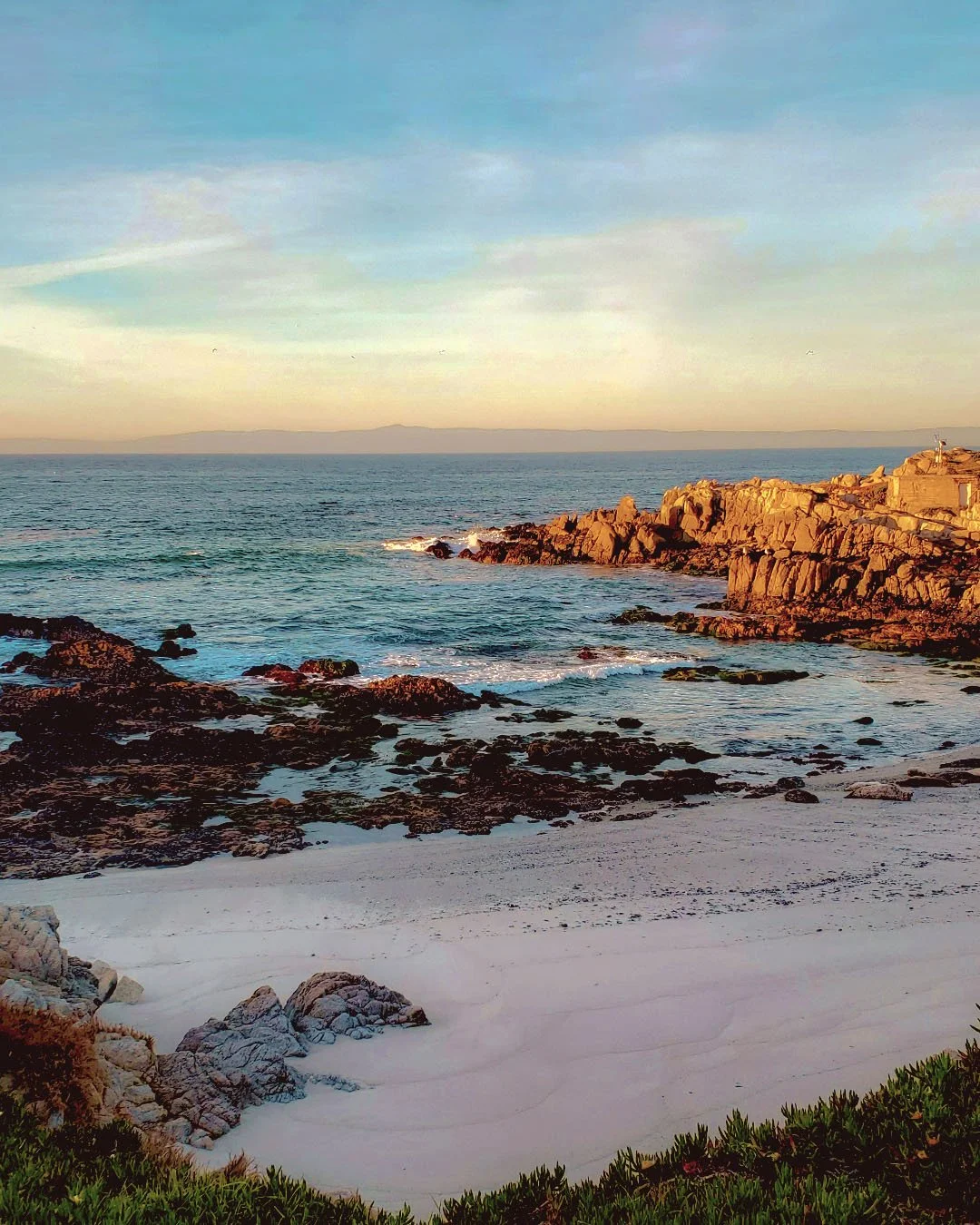 NorCal 102 IG Portrait 4x5 copy.jpg