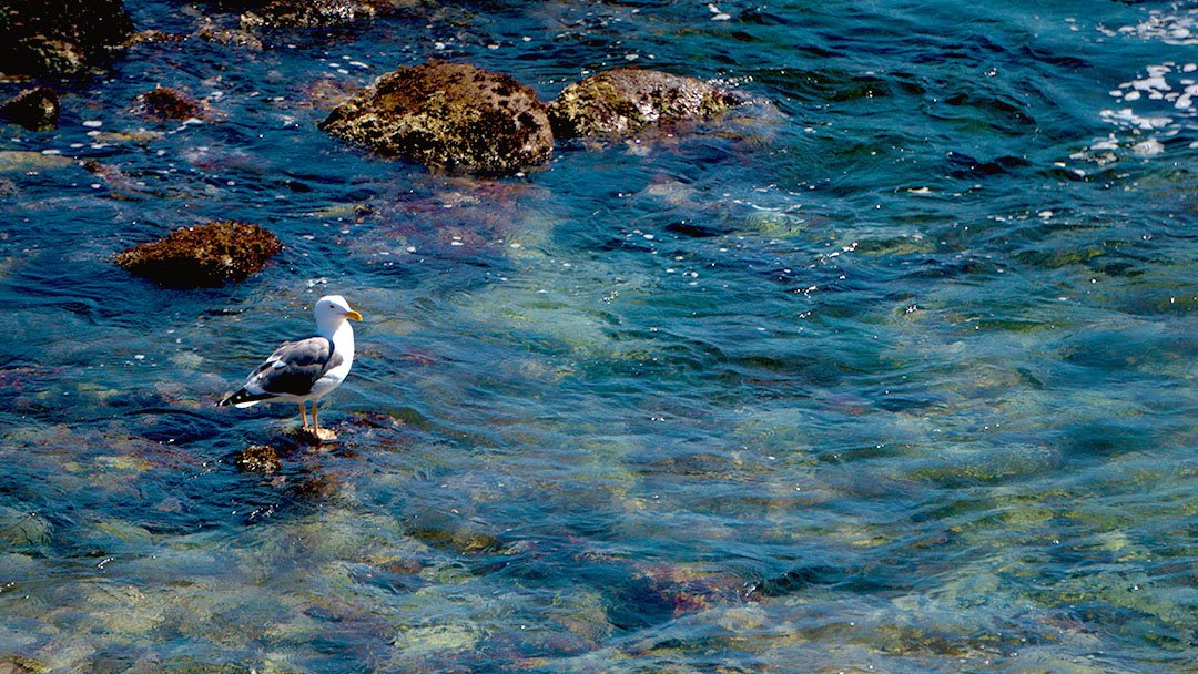 NorCal 22 IG Landscape 2x1 copy.jpg