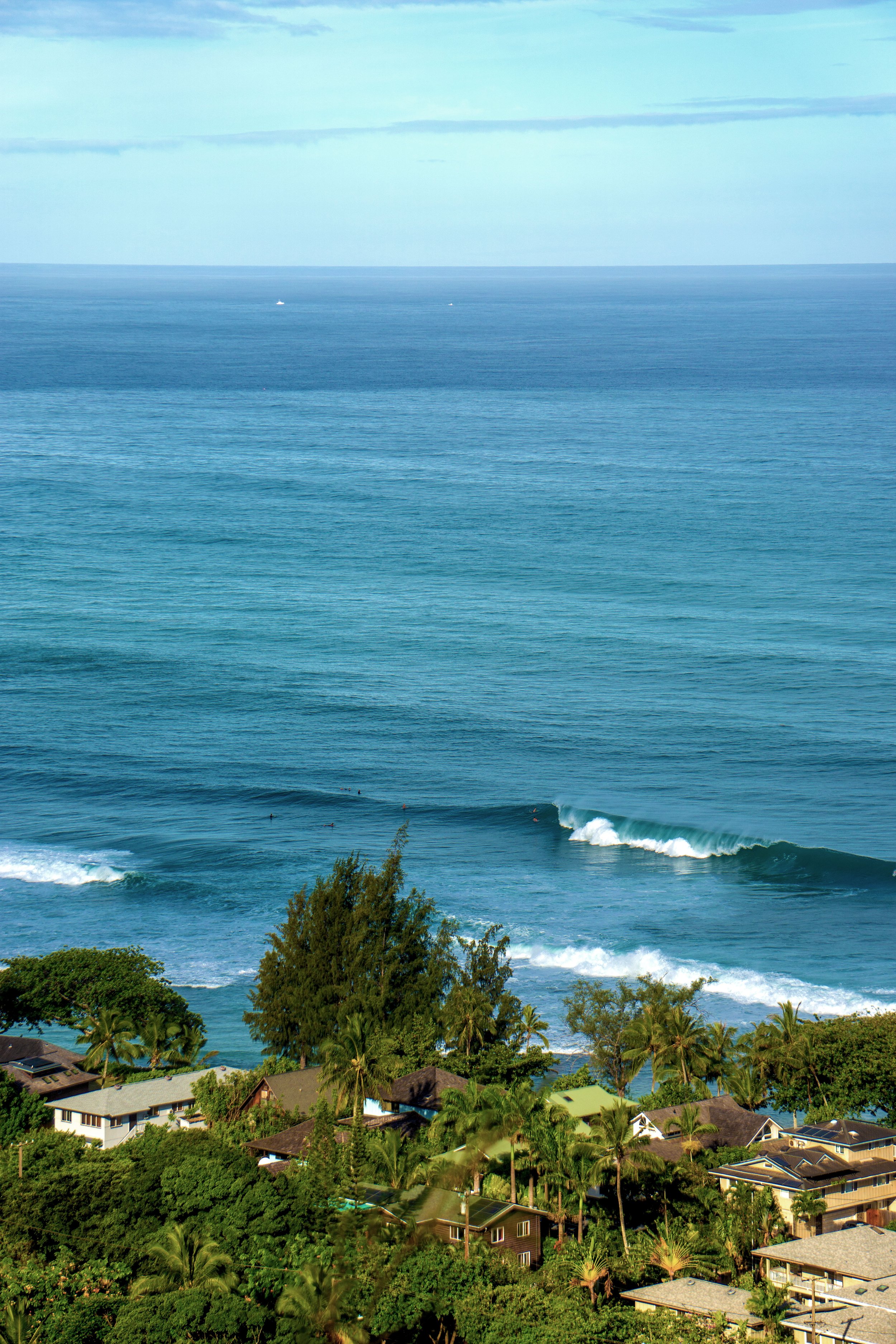 Ehukai.jpg