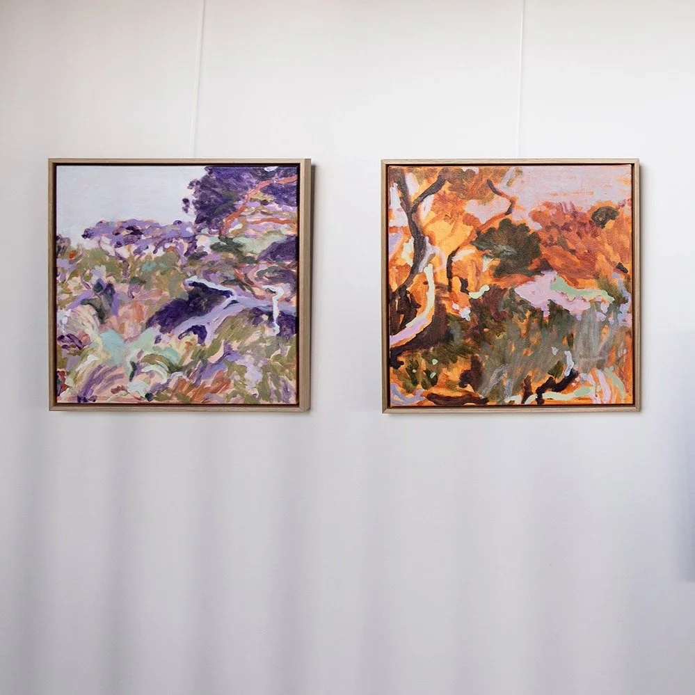 Small original framed artworks hanging together on the wall at exhibition at Lon Retreat by Belinda Marshall