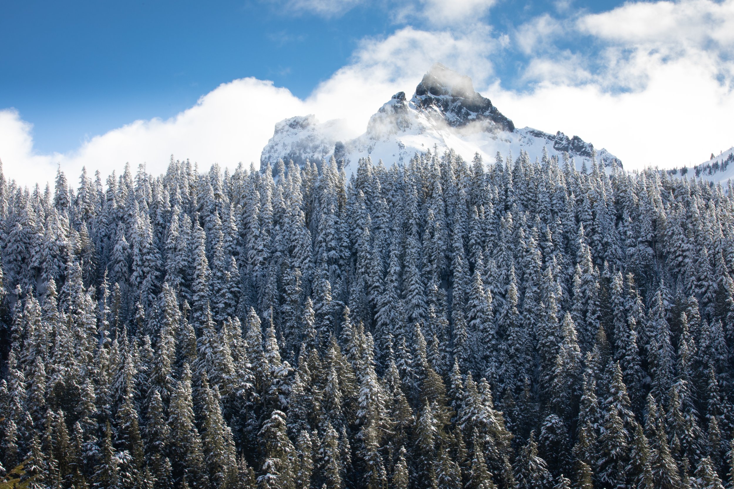 2021-01-23-mt_rainer-004.jpg