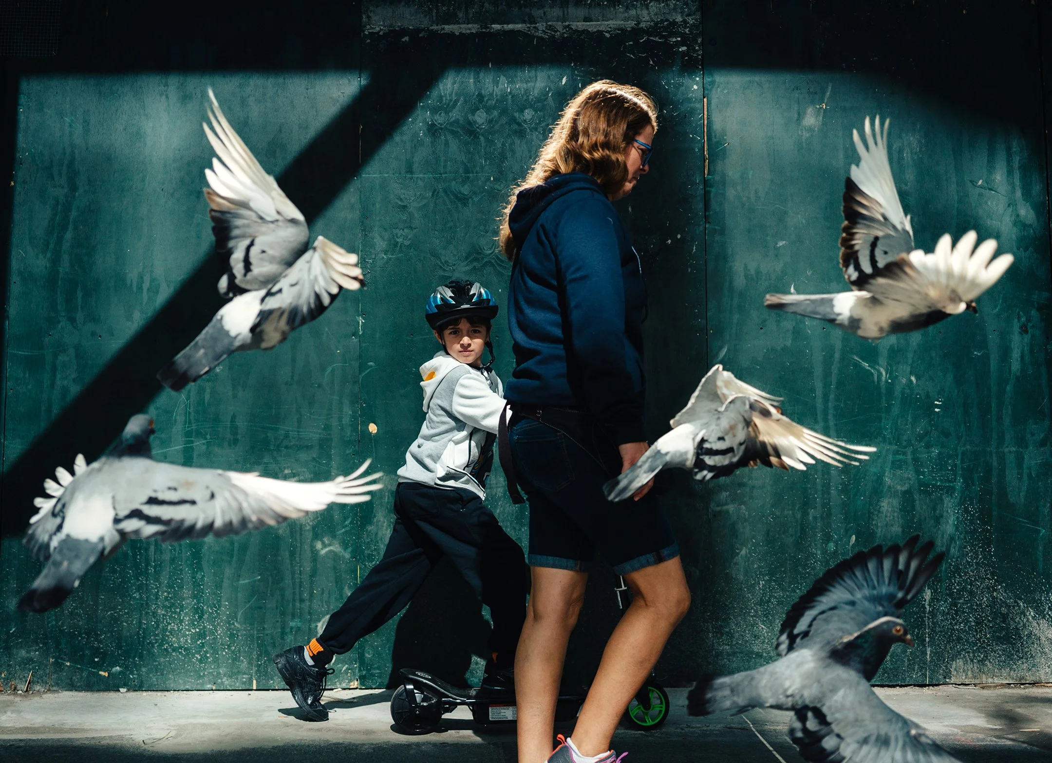   Birdwalkers . 