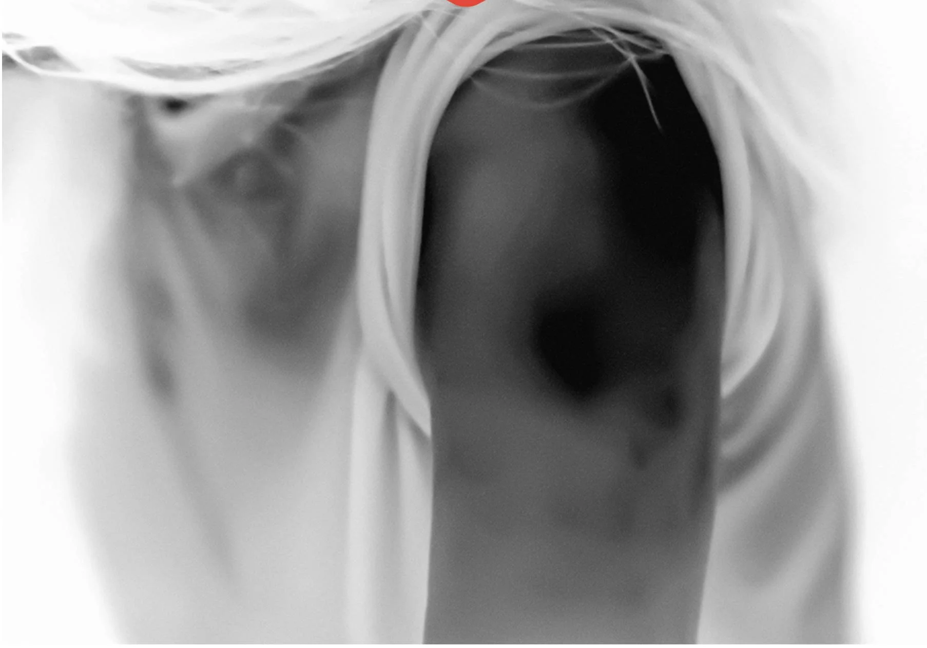  Linda Alterwitz. 