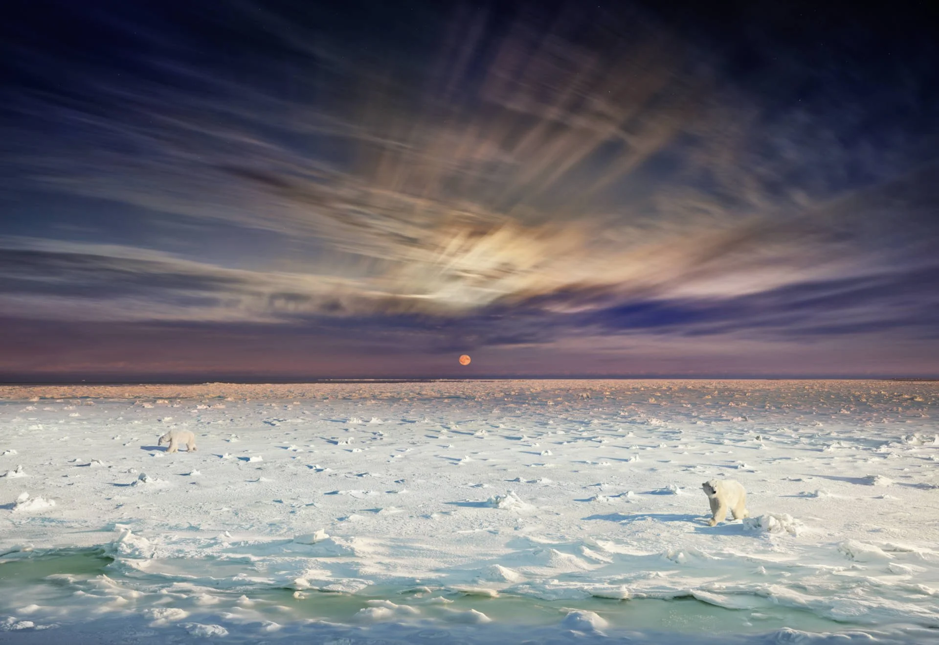  Stephen Wilkes 