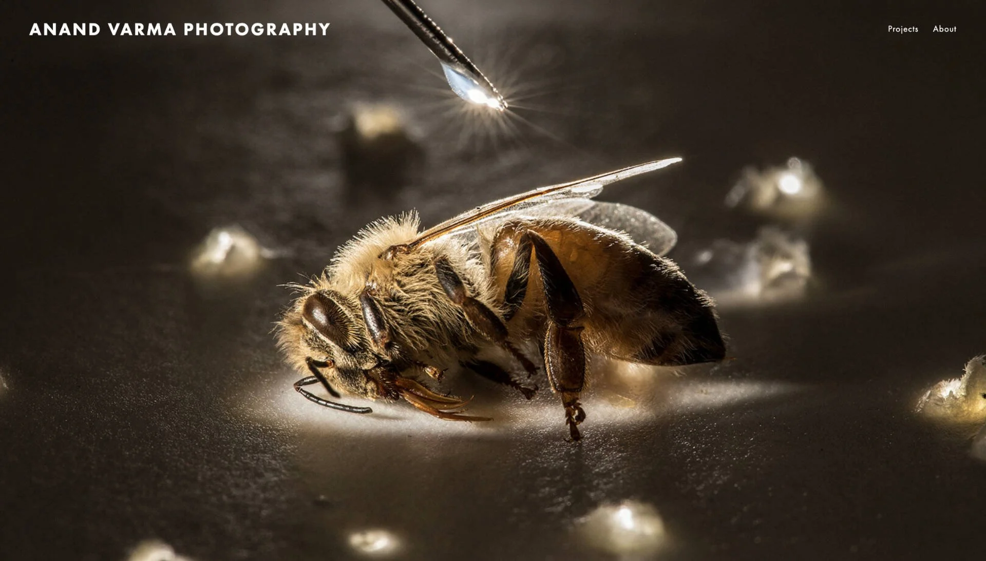   varmaphoto.com  