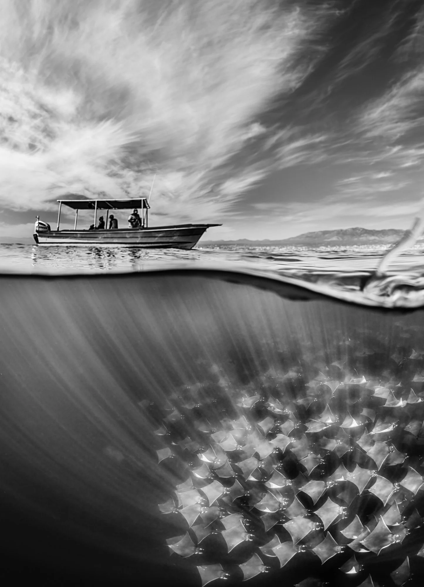 Photo: Martin Broen. Nature, Wildlife and Conservation Winner 2023