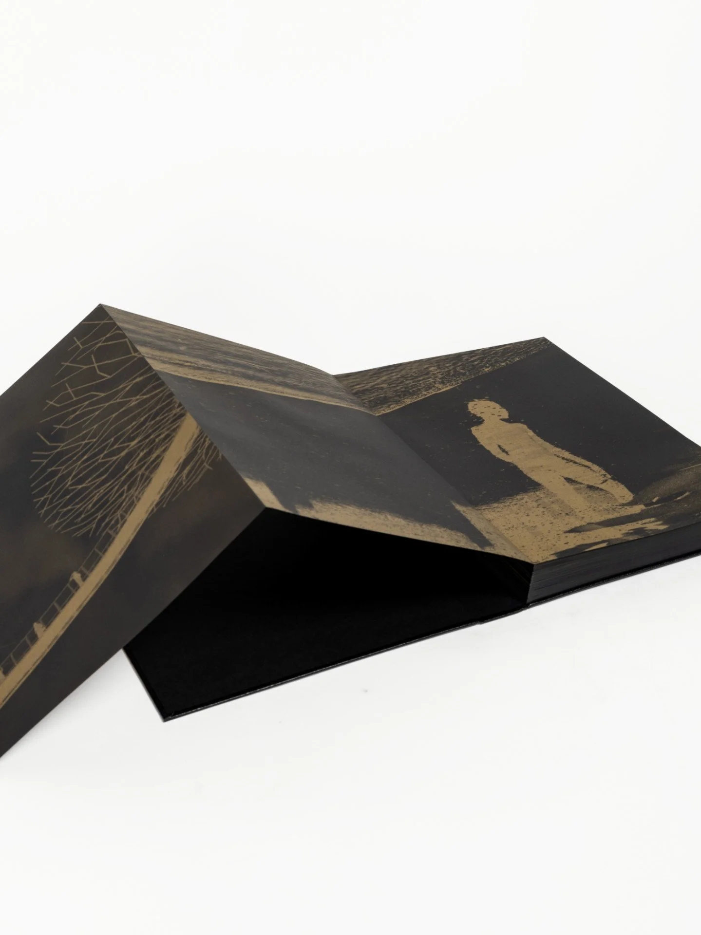  Sandra Cattaneo Adorno:  Ten years  