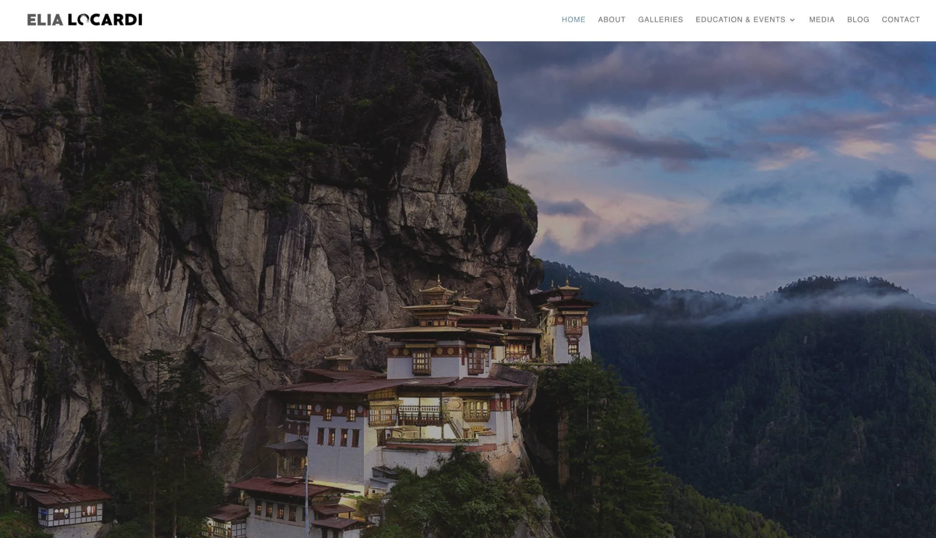 Elia Locardi portfolio