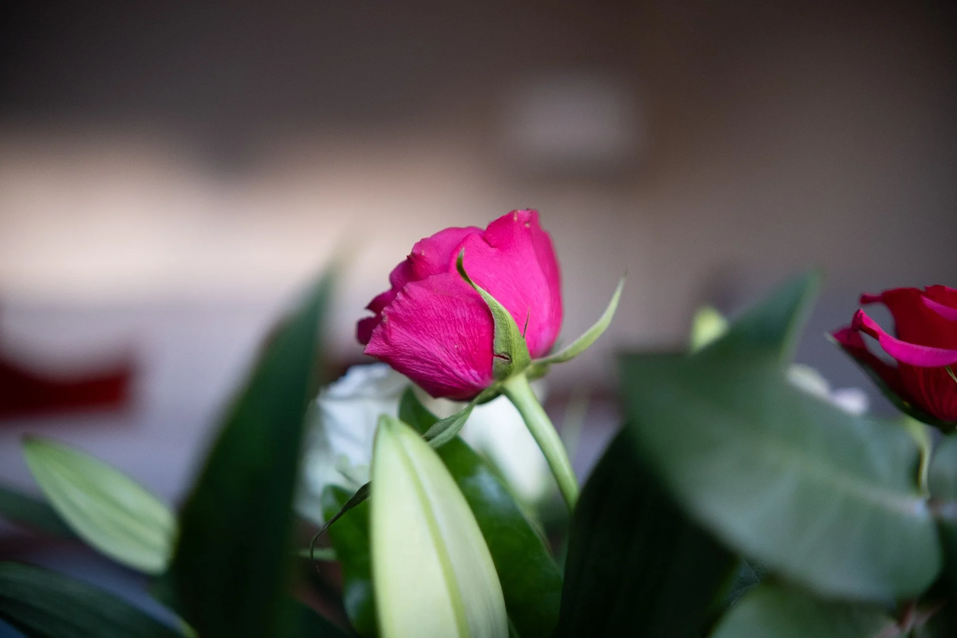  Shot at f1.4 