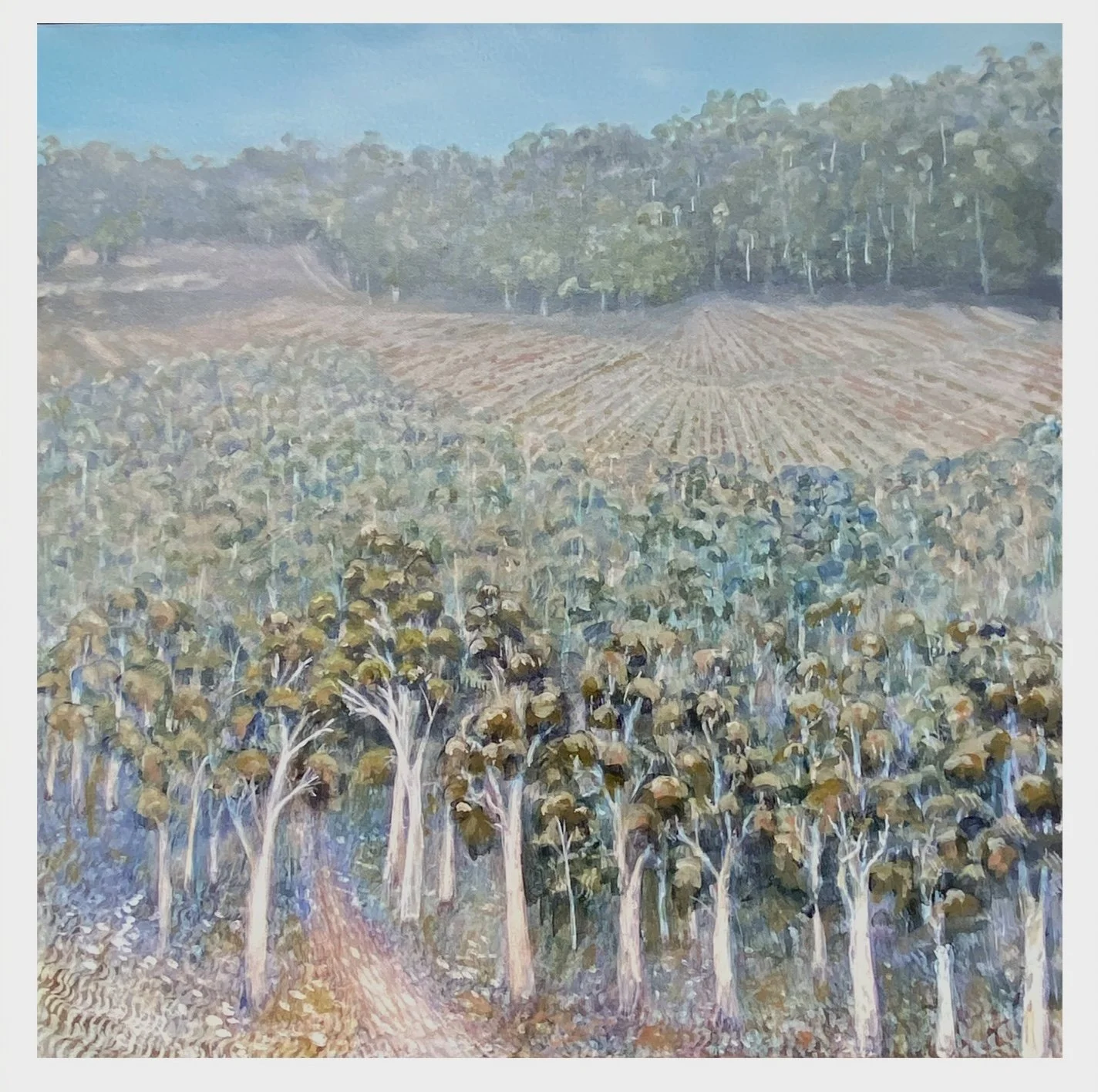 The Locals Gathering