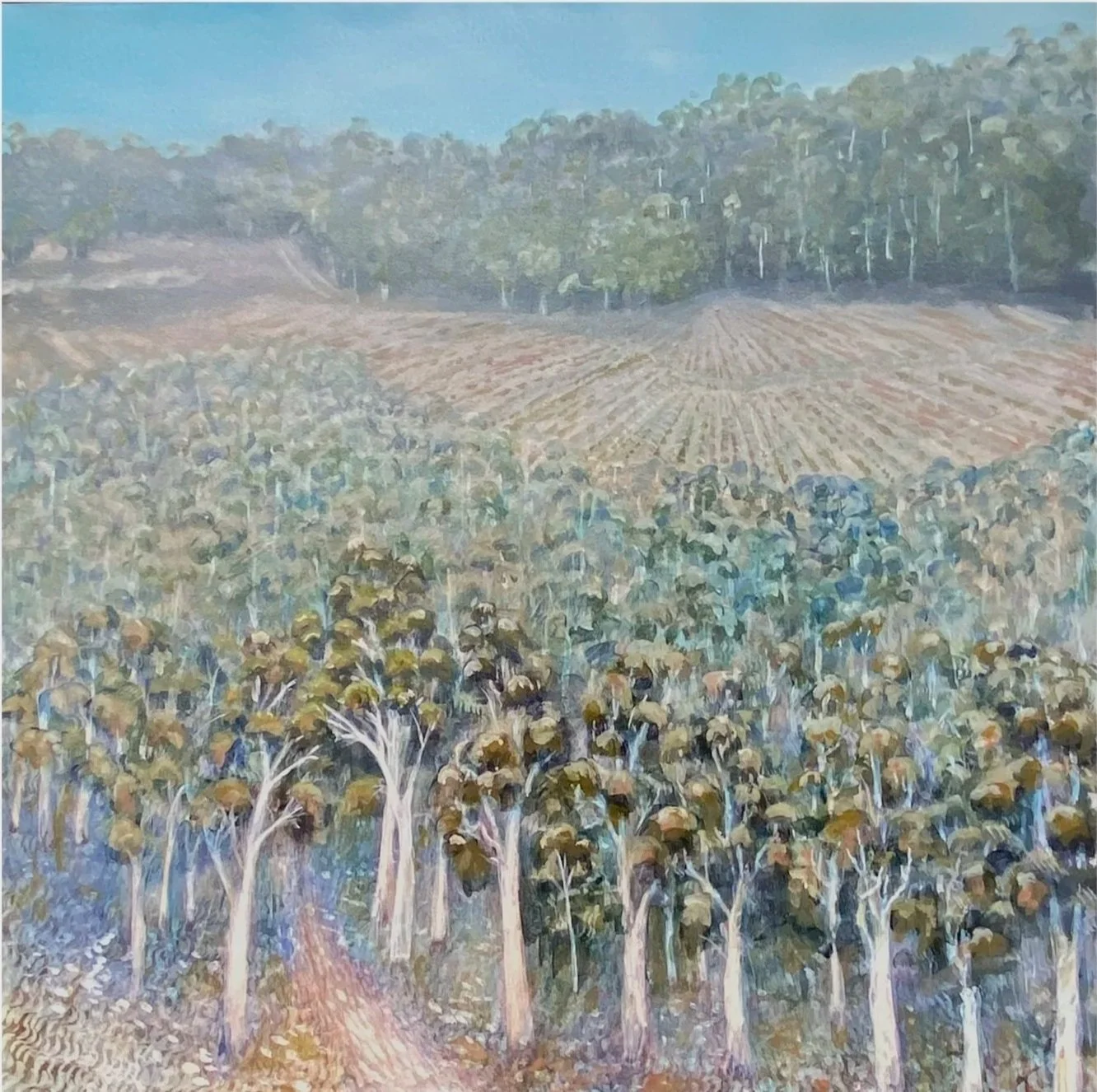 Enter Gallery - Clare, South Australia