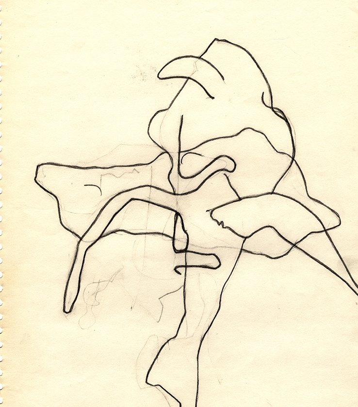 Image12