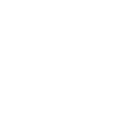 quotation-mark (1).png