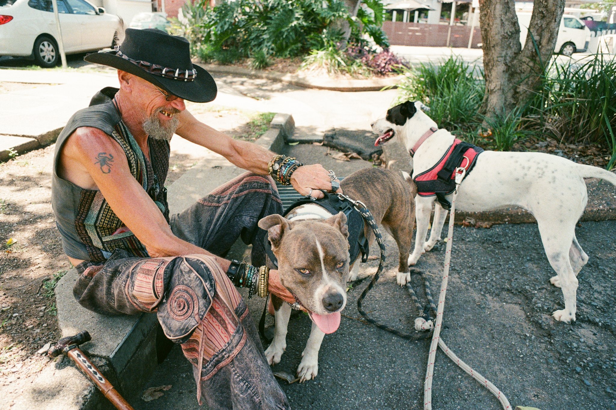 Sven from Beaudesert with his two dogs.