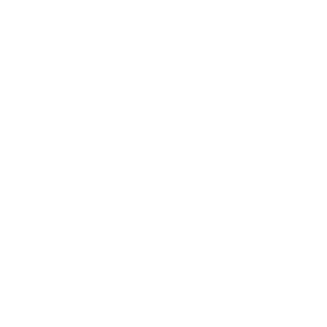 Wolbert_iconen-05.png