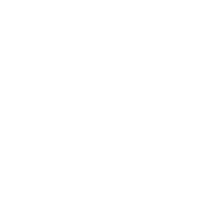 Wolbert_iconen-12.png