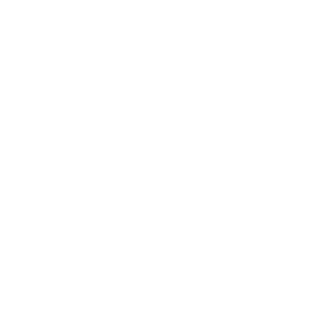 Wolbert_iconen-02.png