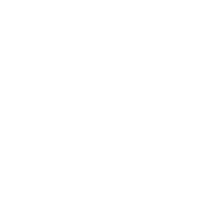 Wolbert_iconen-07.png