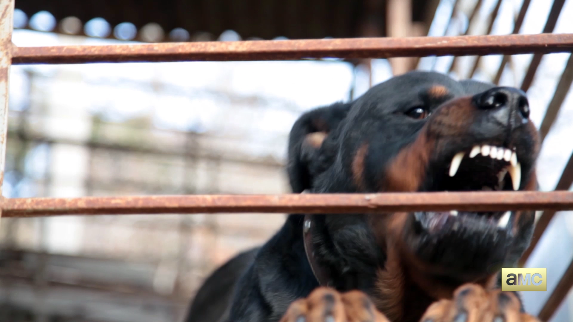 AMC Grand Theft Auto - Official Trailer (April Fools')0.png