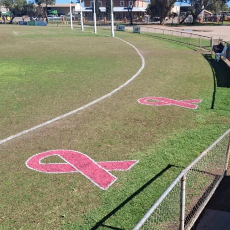Nice work Popeye who created these for Rover Football Club&rsquo;s Fundraising Pink Round last weekend 👏💕

#pinkround #pinkshoes 
#localsworkingforlocals