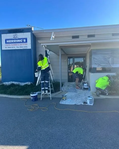 Herring1.jpg