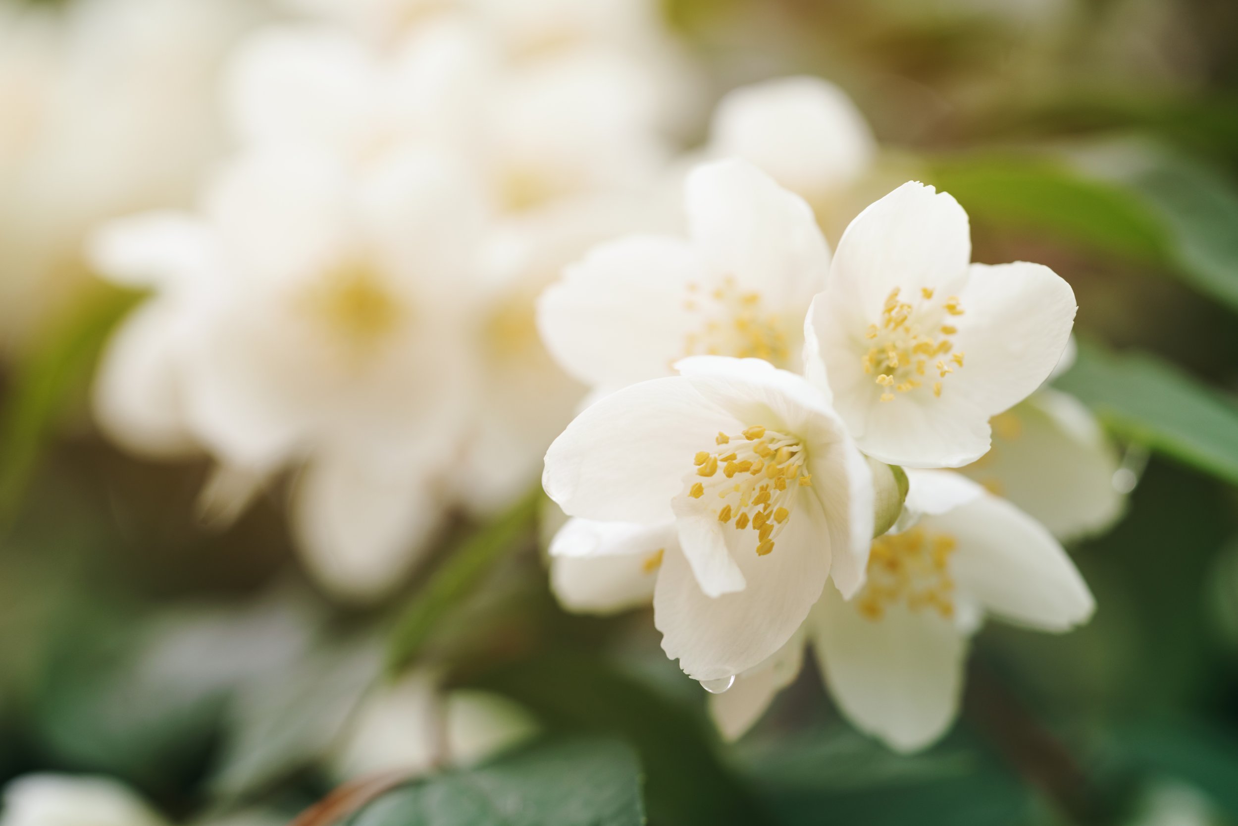 AdobeStock_114866706.jpeg