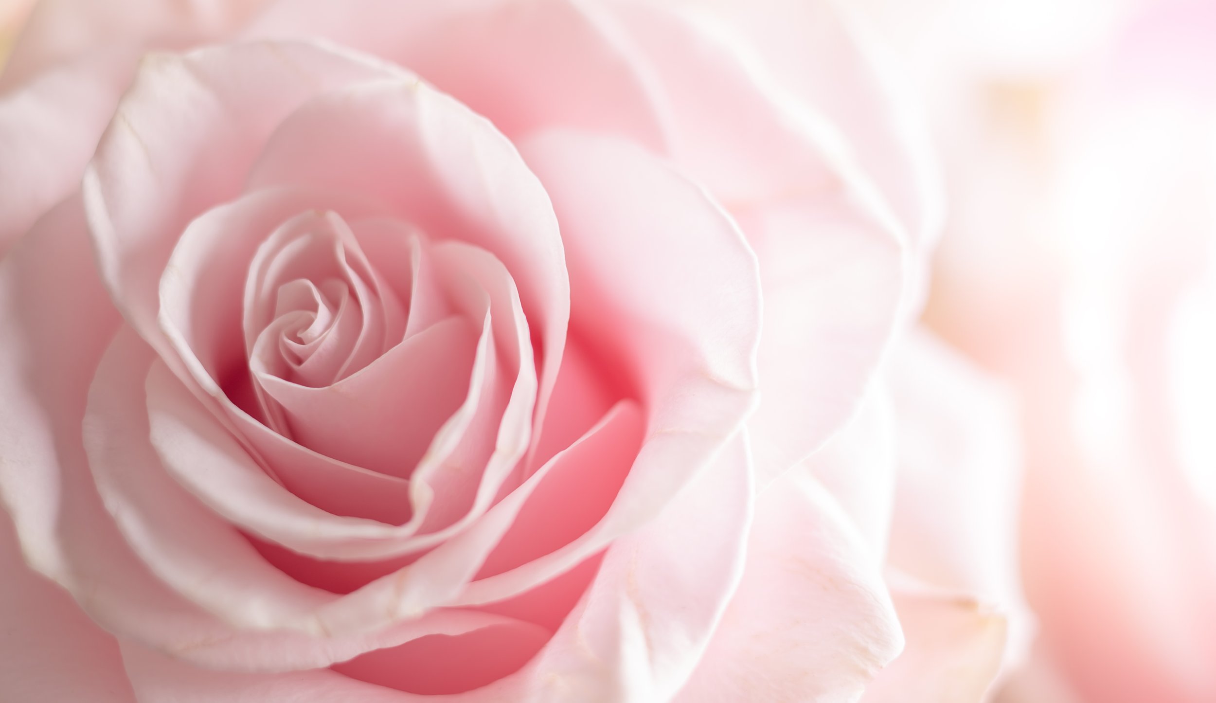 AdobeStock_243472256.jpeg