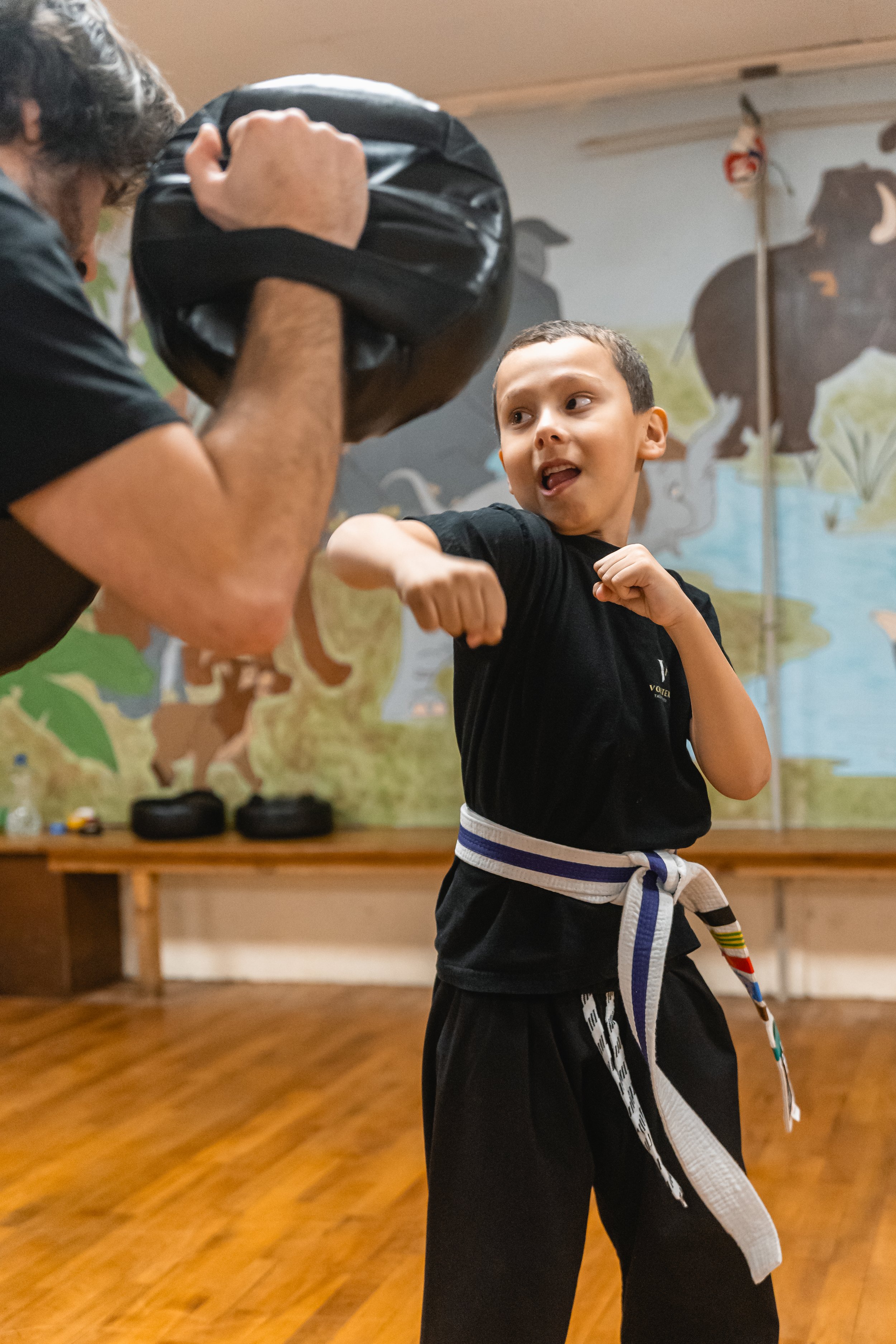 Vortex Martial Arts Academy