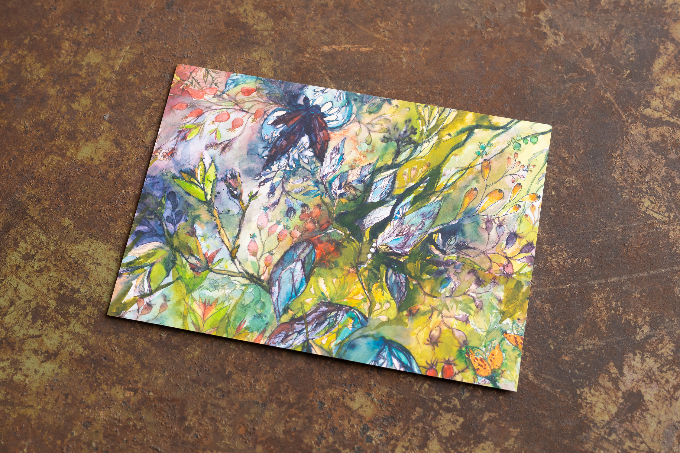 Postkarten Feuer Farbe Licht Nora Kovats 2026 solo (1).png