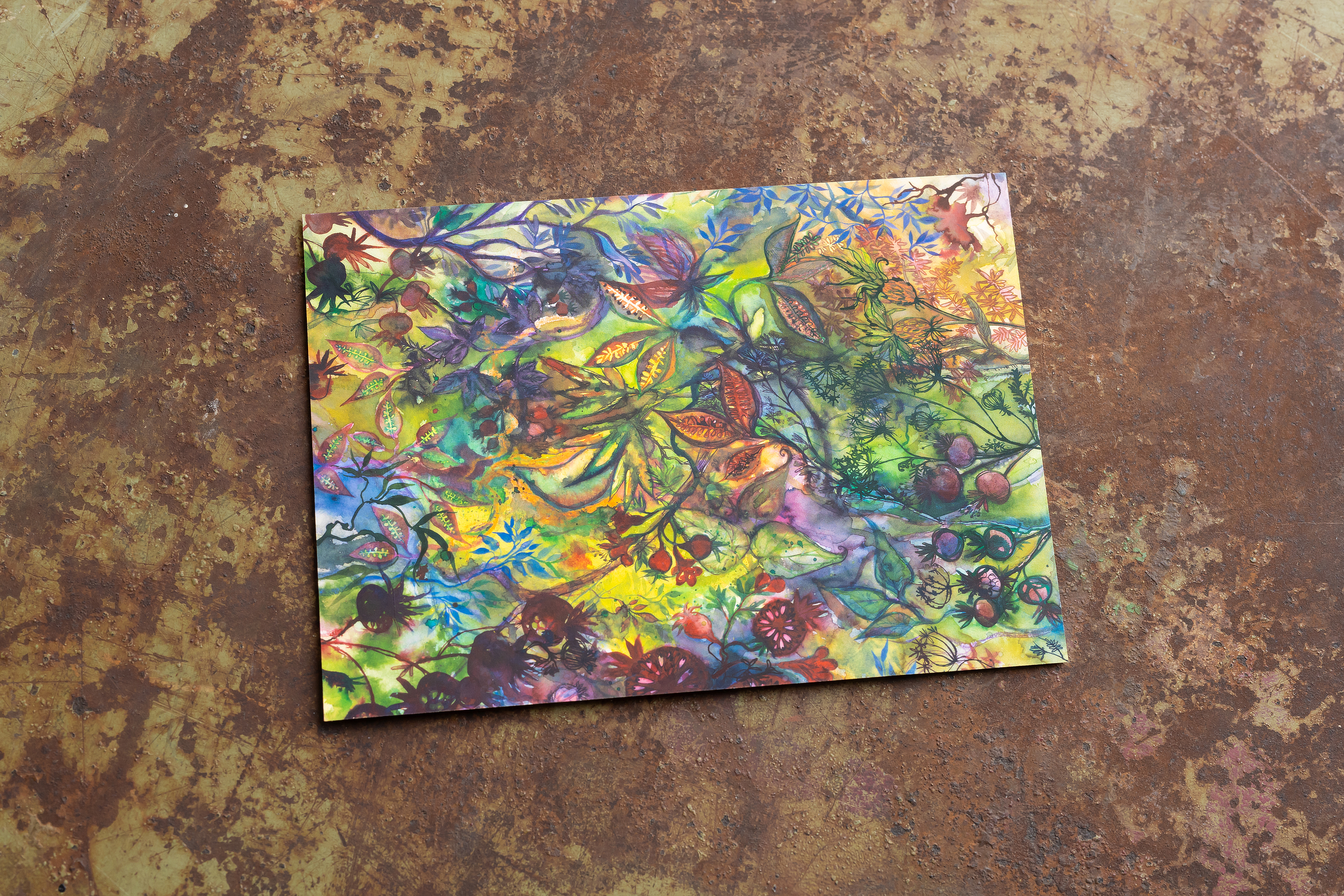 Postkarten Feuer Farbe Licht Nora Kovats 2026 solo (4).png