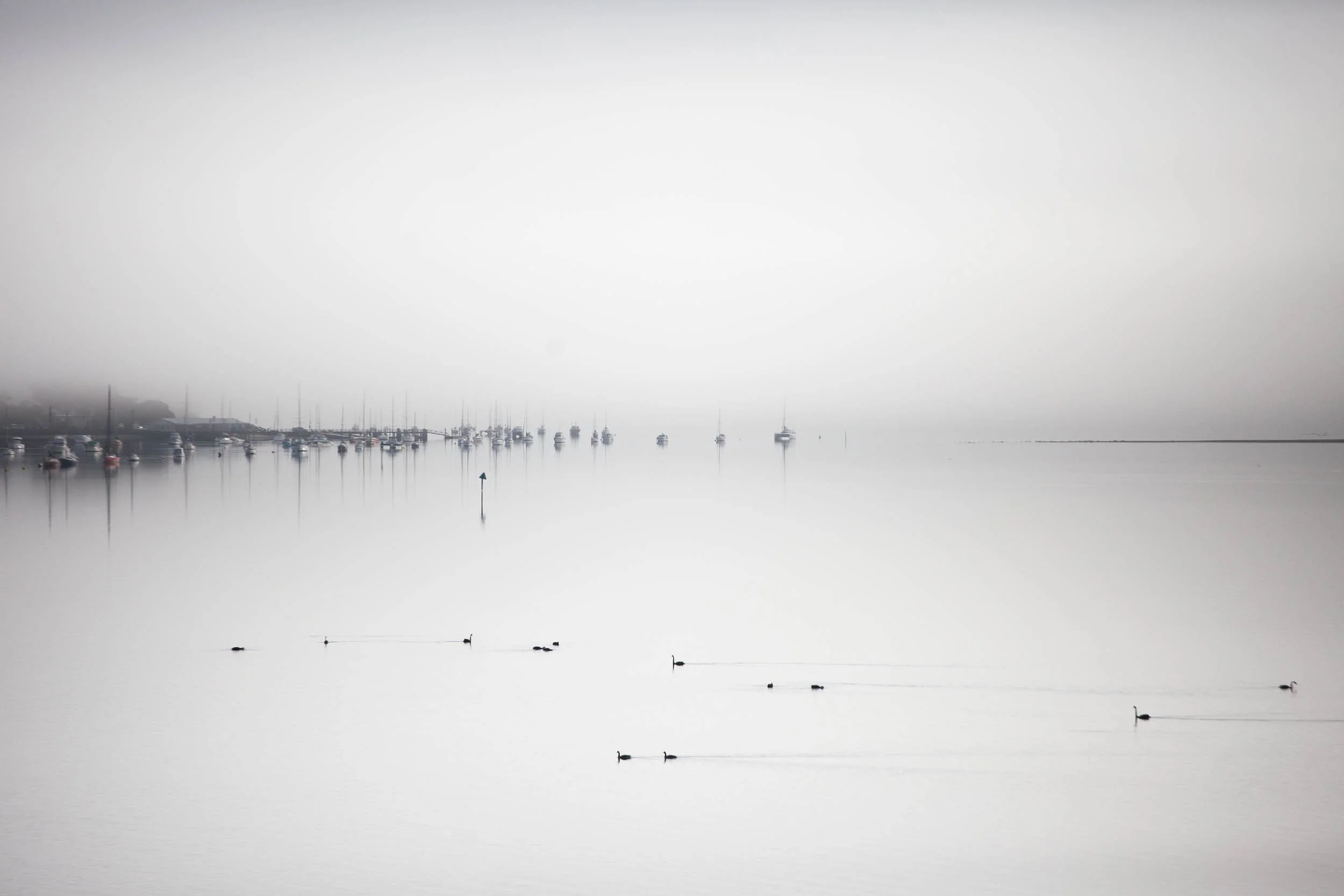 Horizon 2 - Omokoroa boats