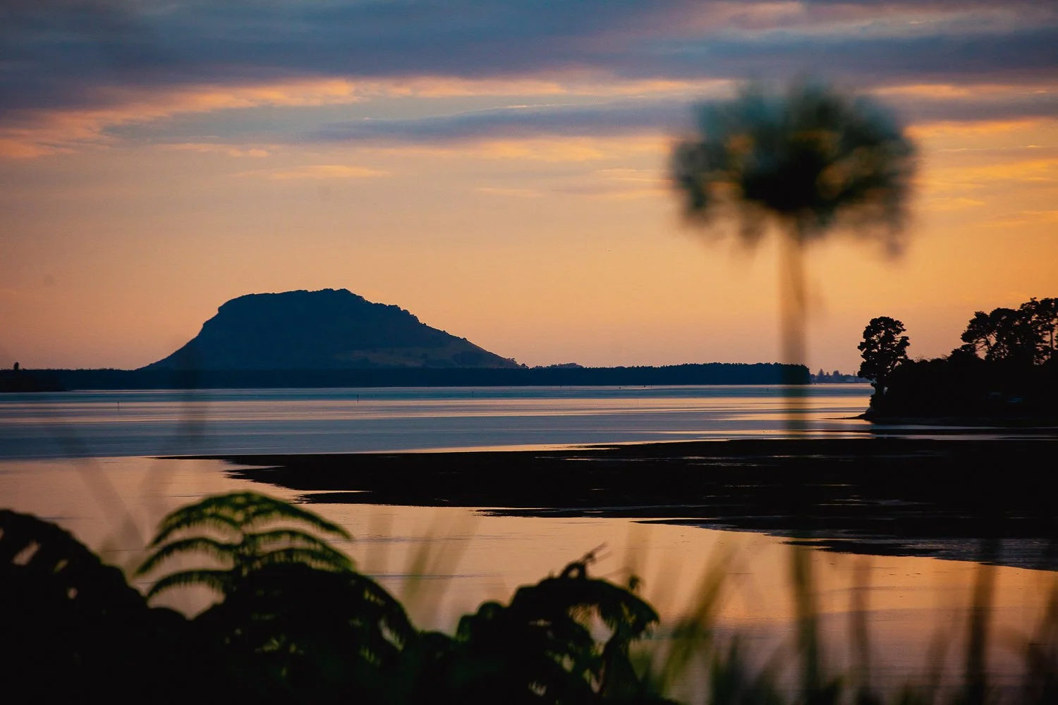 The Mount from Plummers Point