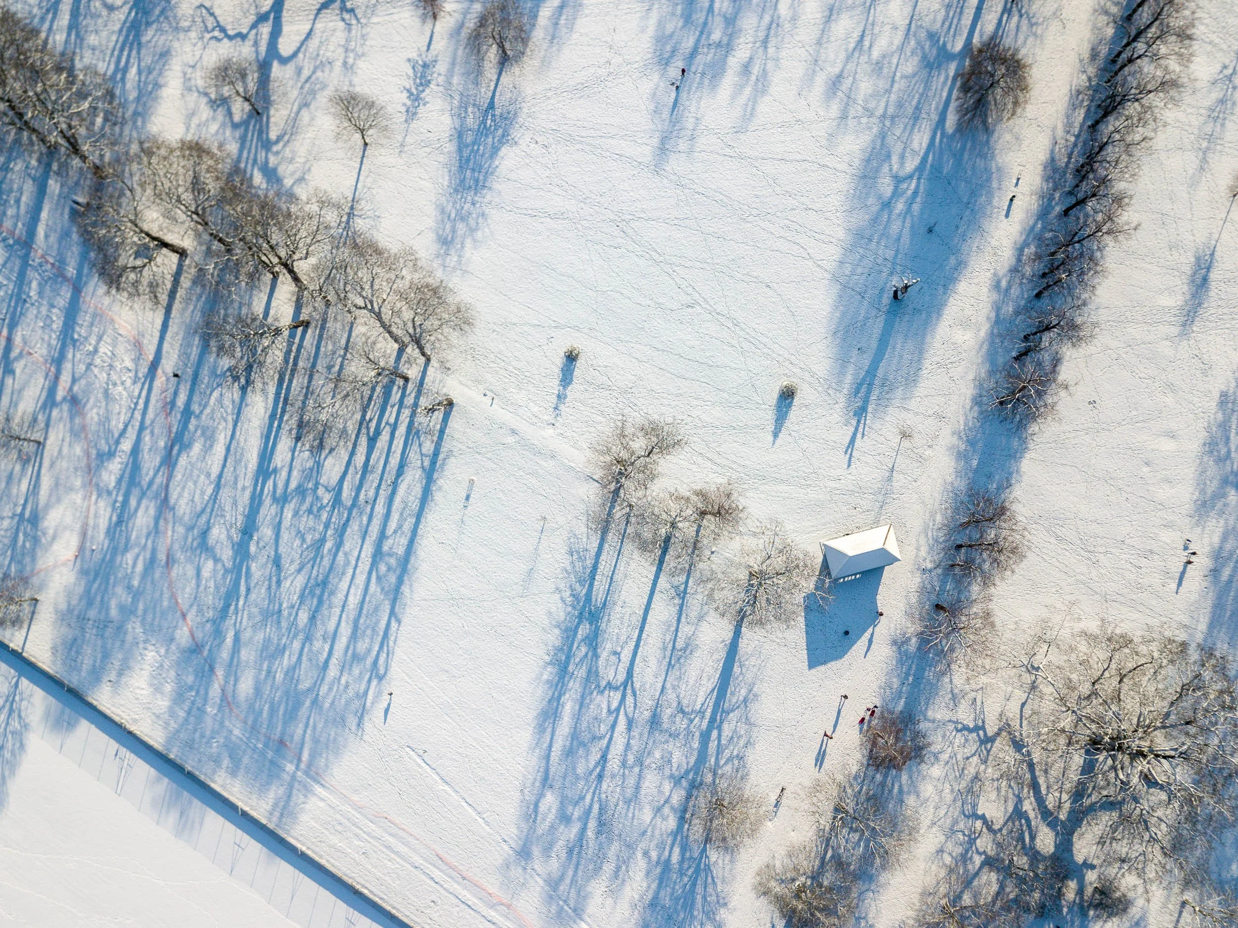 Tree shadows on snow No. 1