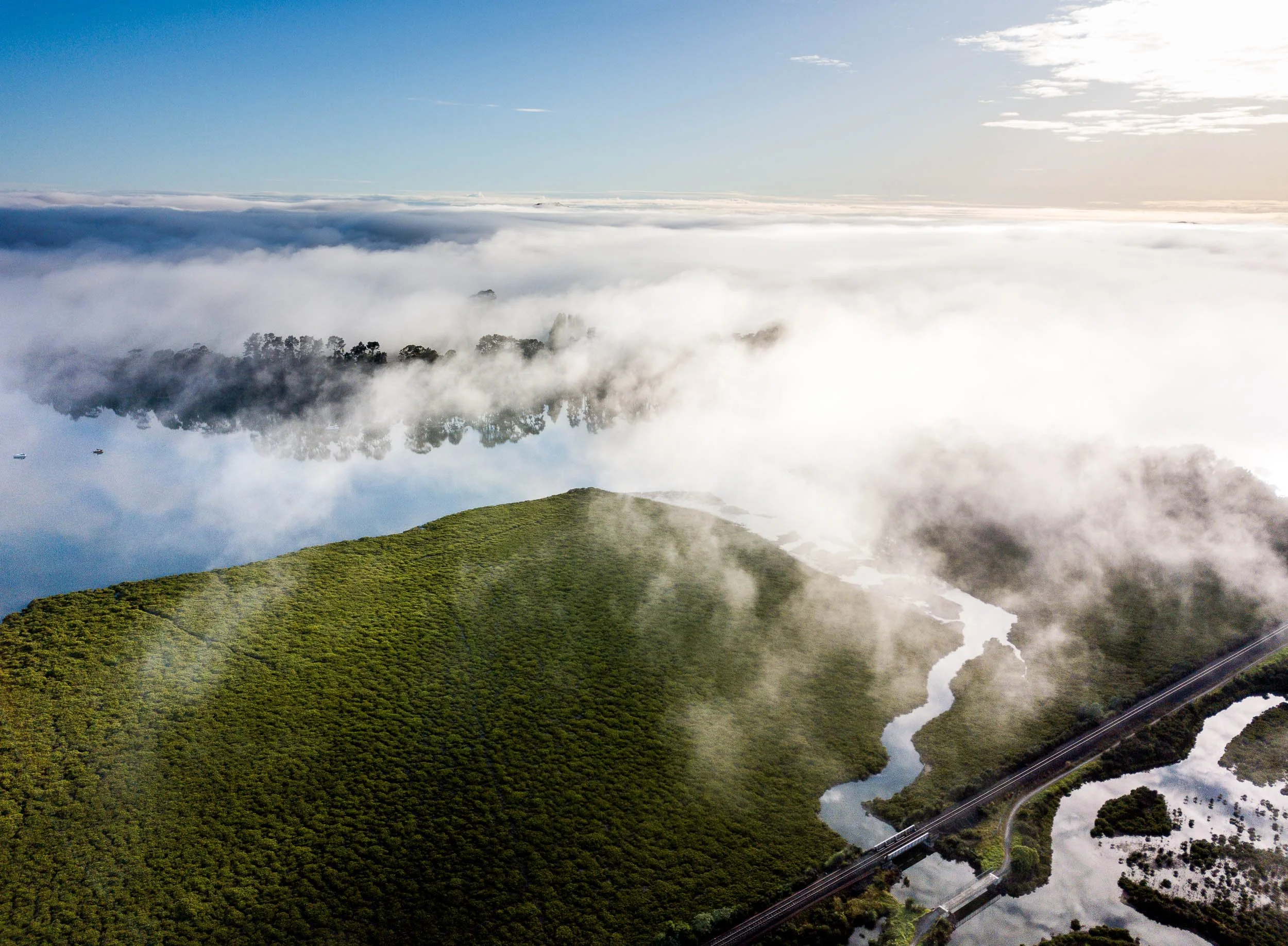 Te Puna Estuary Wetlands in mist