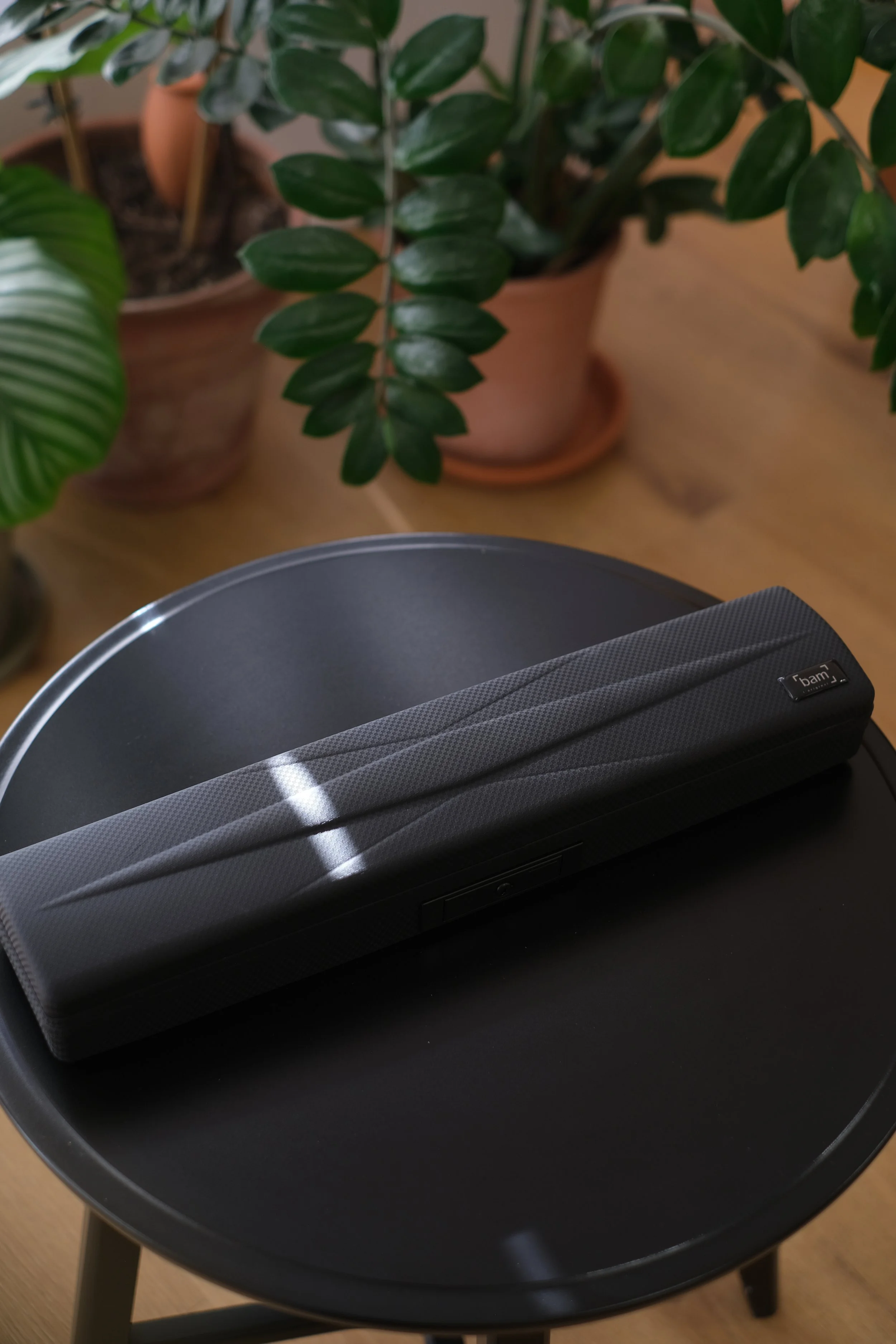 BAM Hightech Slim Flute Case