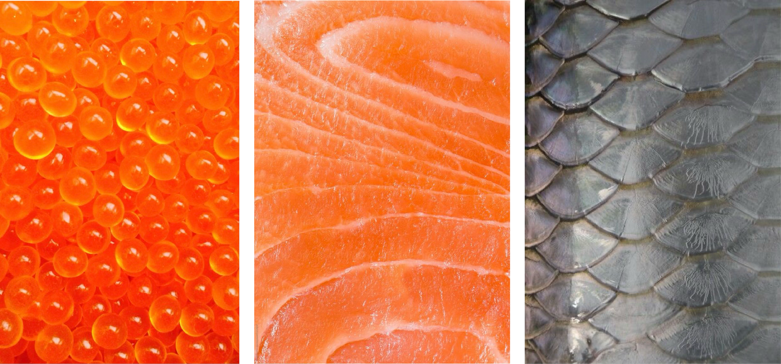 HokkaidoTable-CaseStdy-08.png