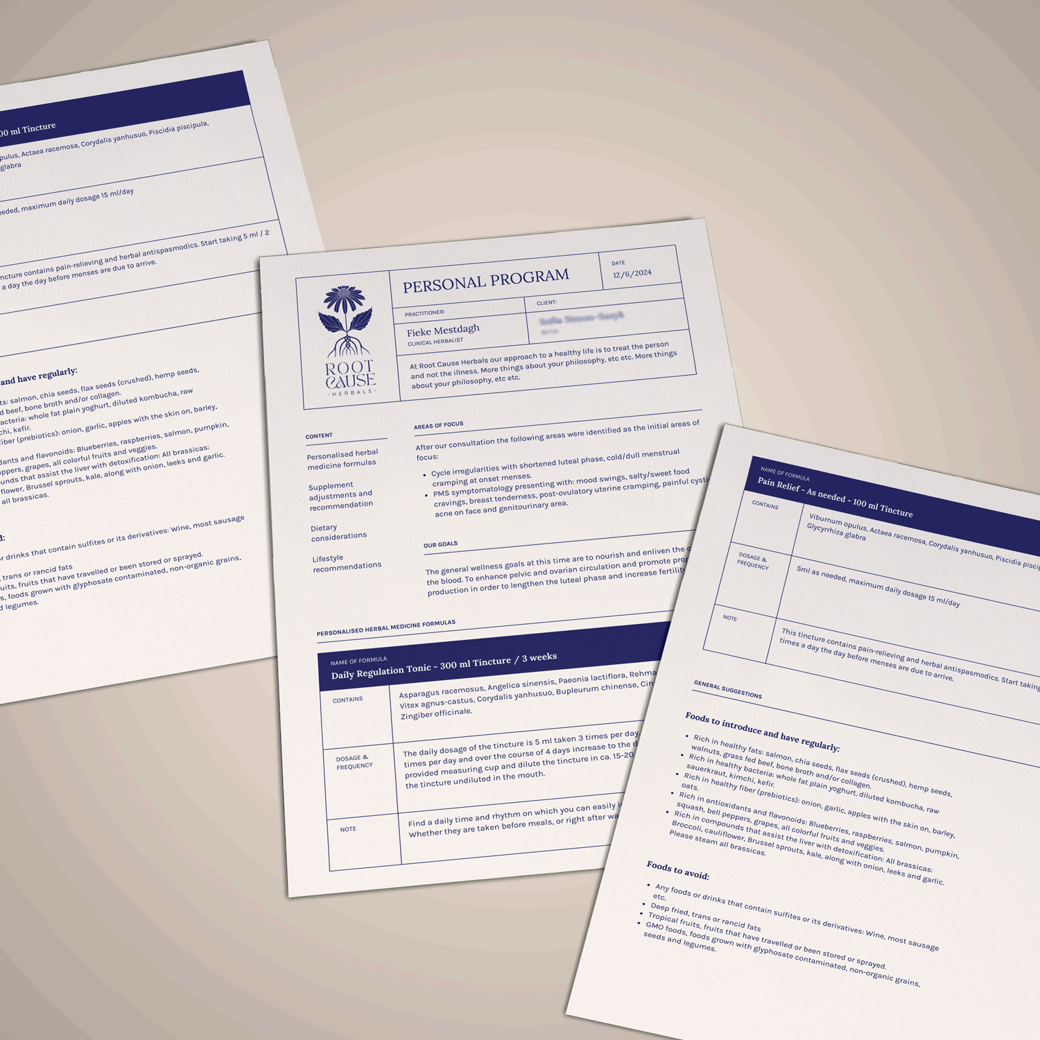 RootCauseHerbals_Program_Mockup.png