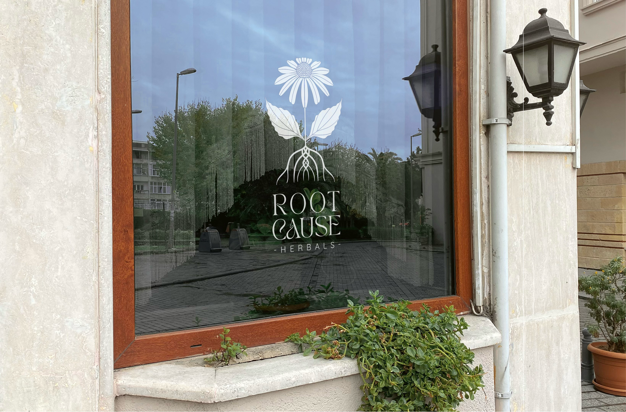 RootCauseHerbals-CaseStudy-12.png