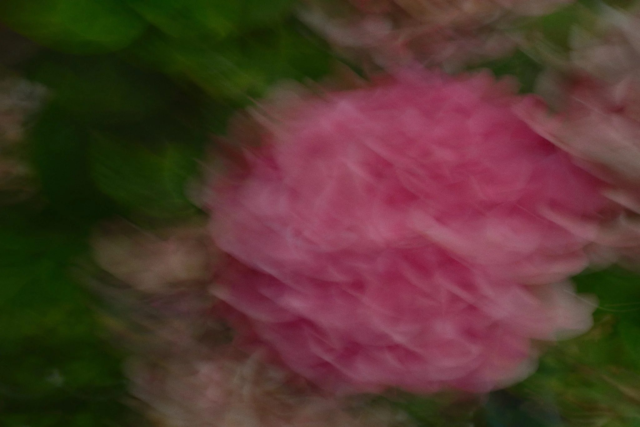 DSCF6075.jpg