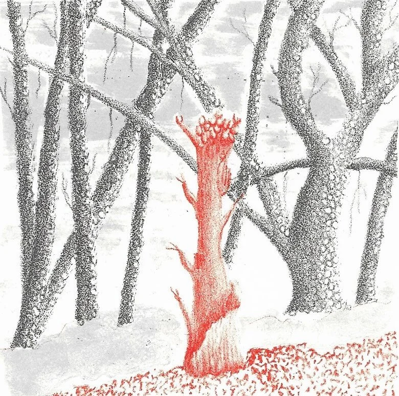 More MiniPrint Cymru news - both my prints, Coeden Goch and Cenhinen Bedr have been accepted for selected for the exhibition at Mission Gallery in Swansea (November to January) and at the Royal Cambrian Academy of Art in Conwy (March to April). 
This