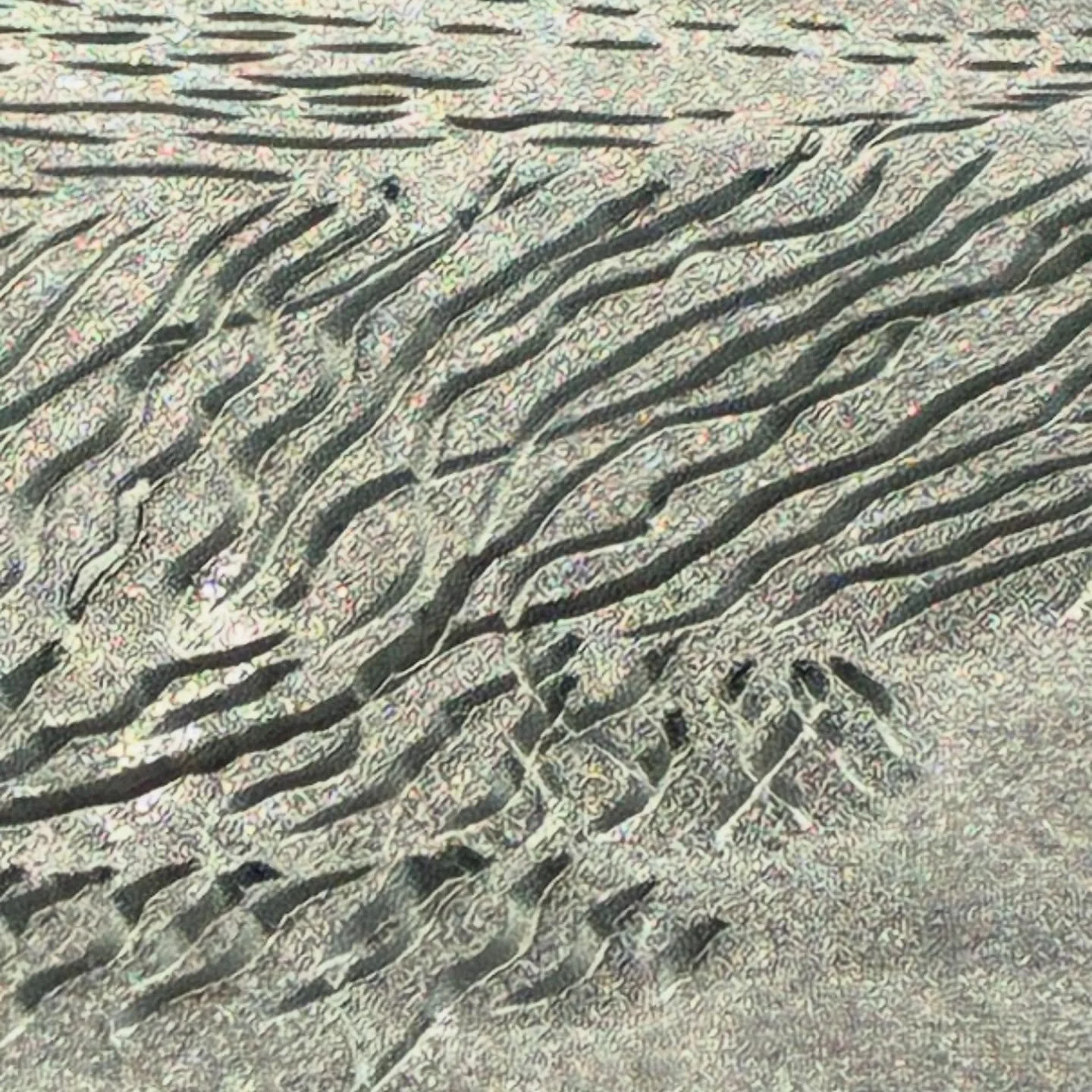 Everyone is asleep, the birds are calling each other and I&rsquo;m outside carving a Lino block for the Aberystwyth printmakers Lan y m&ocirc;r project with the Menai straits in front of me, sitting in a field of flowers at the end of their season an