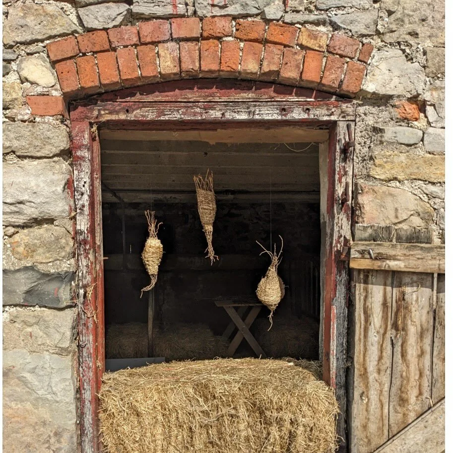 Tomorrow &hellip; Saturday
Another fabulous day at Berllandeg Farm with the Landing Project. 
I&rsquo;m exhibiting some of my weavings made at the start of the year. 
@the.landing.project @mollybrown.prints @veronica.calarco @stiwdiomaelor @900basket