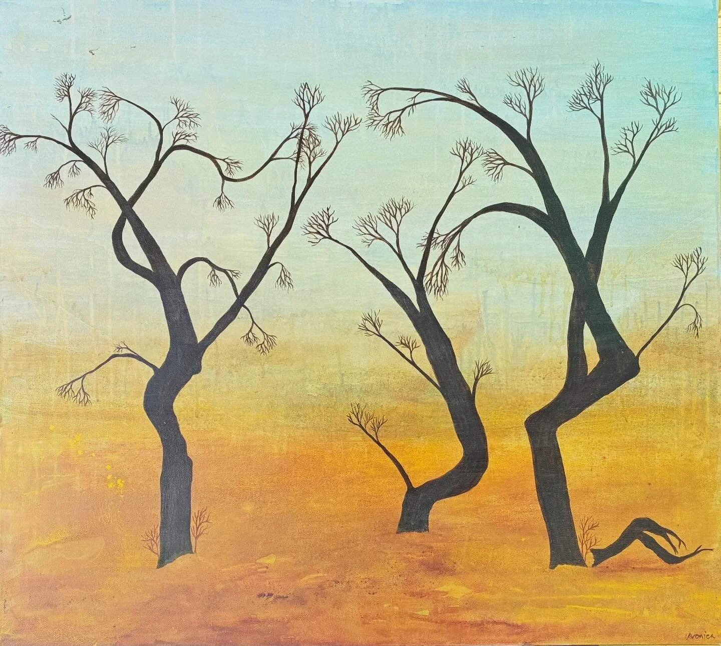 Another from the Grindell&rsquo;s Hut residency. It hadn&rsquo;t rained in the area for a long long time (I remember reading it was thirty years but I could be wrong - still a long time) so it was dry, brown and everything felt dead. Then after a few