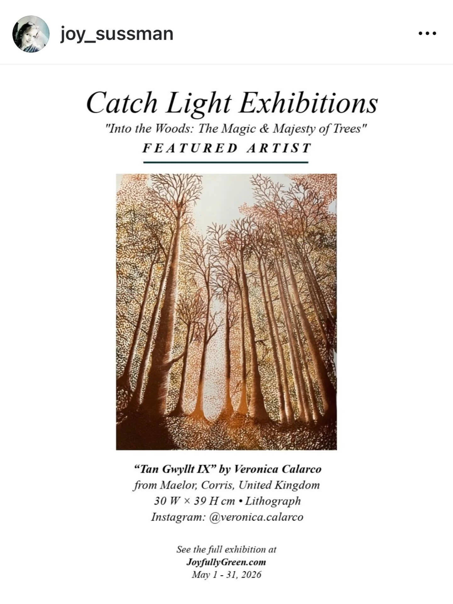 Very privileged to be part of this stunning exhibition of trees curated by @joy_sussman So many amazing works. 

@stiwdiomaelor @900baskets @maelorstores