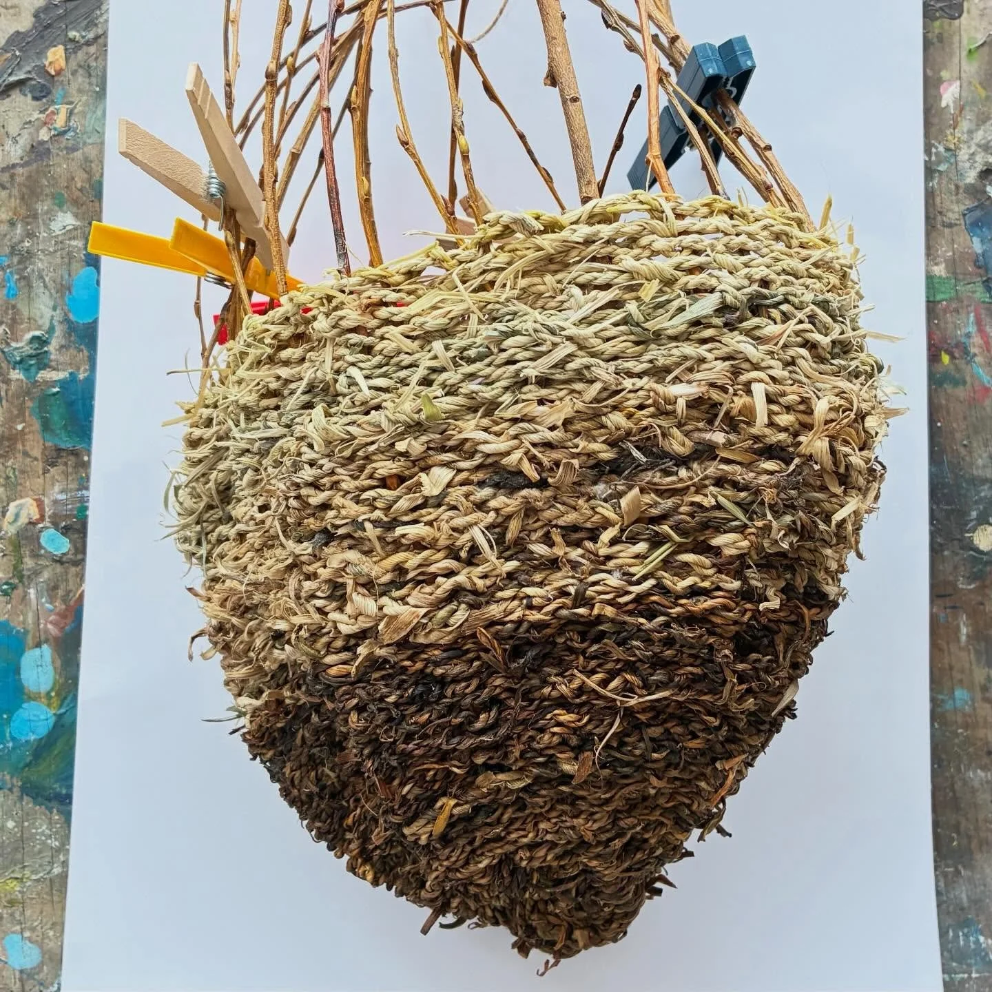 Day four of creating @cillrialaigarts - continued weaving the basket (starting to slow down as I have used all the cordage I made prior to coming here so now I have to make it as I go using a vine I found the other day), sheep deciding to join my ear