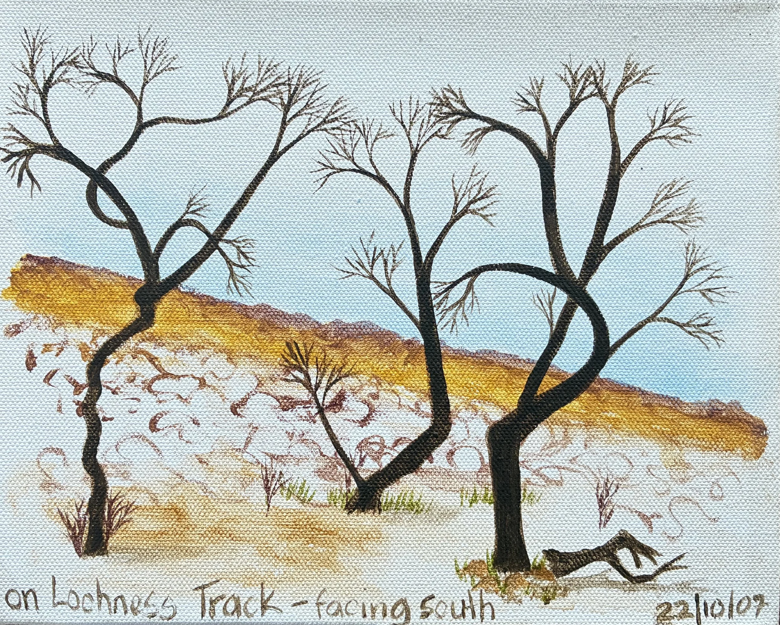 8. 22:10:07 on Lochness Track - facing south.jpeg