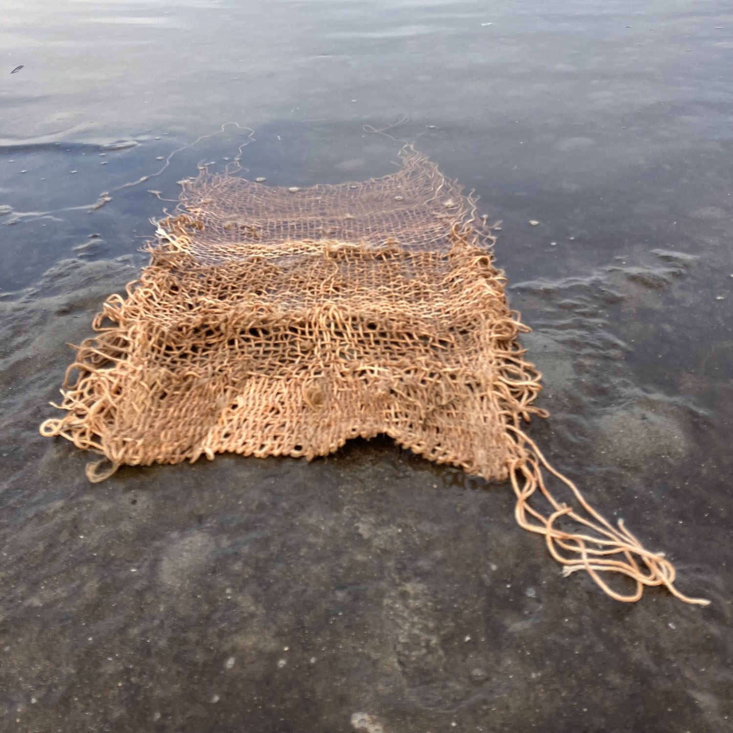 Veronica Calarco 'Lavender Bay', Weaving  from found string.jpeg