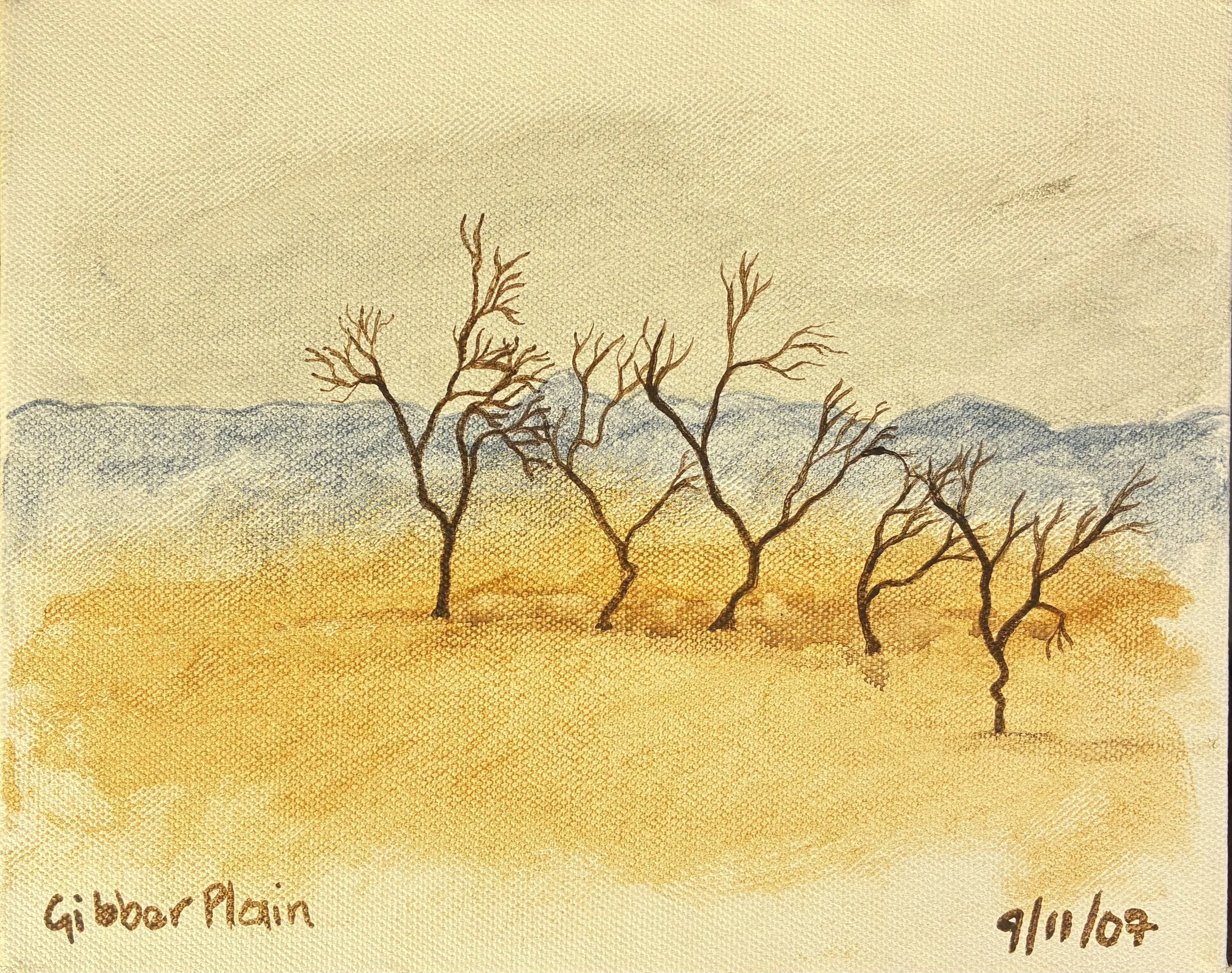 26. 9:11:07 Gibber Plain.jpeg